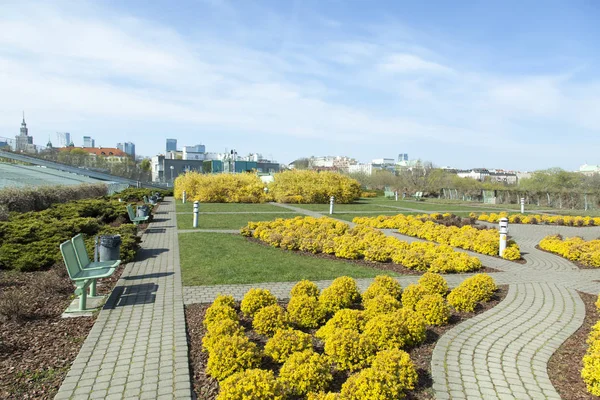 Giardino sul tetto di Varsavia — Foto Stock