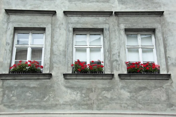 Olomouc Città Vecchia finestre — Foto Stock