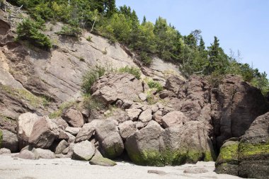 Hopewell Kayalıkları Park Peyzajı