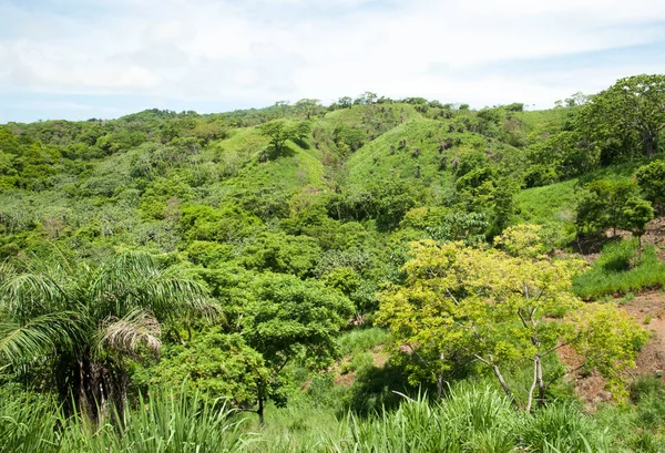 Widok Wiejskiego Pagórkowatego Krajobrazu Wyspie Roatan Resort Honduras — Zdjęcie stockowe