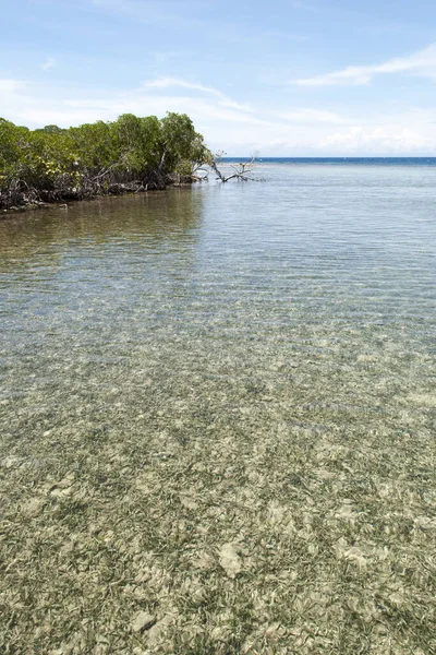 Transparent Waters Tourist Mahogany Bay Beach Roatan Island Honduras — Stock Photo, Image