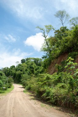 Kırsal yol, Roatan tatil köyü adasında (Honduras) tropik yeşilliklerle çevrilidir.).