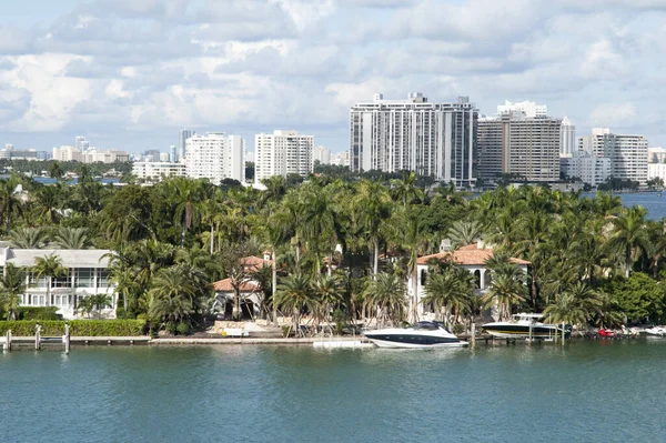 Udsigt Palm Island Boligområde Med Miami Beach Skyline Baggrund Florida - Stock-foto