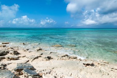 Büyük Türk adasındaki (Türkler ve Caicos Adaları) rengarenk sular ve kayalık kıyı manzarası).