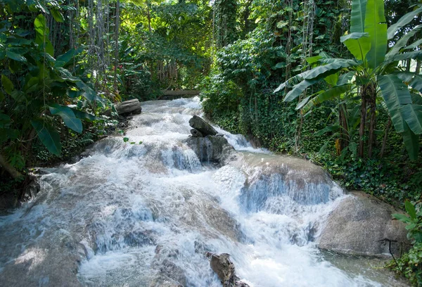 Small Fast River Running Jungle Ocho Rios Resort Town Jamaica — Stock Photo, Image