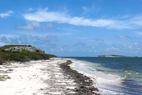 Büyük Türk Adasında Türkler Caicos Adaları Kumsalda Yosunlu Boş Bir — Stok fotoğraf