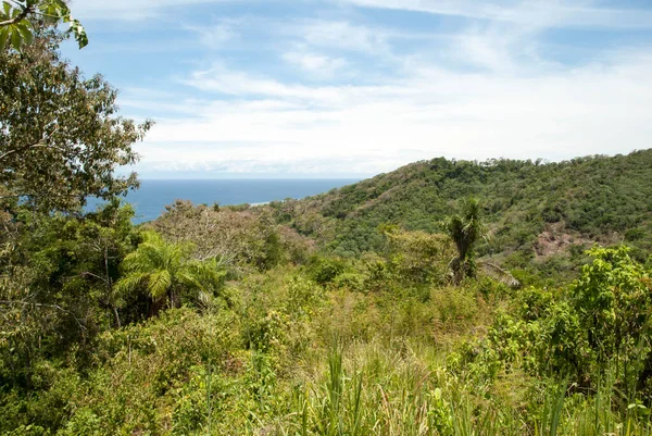 Hilly Landscape Roatan Tourist Island Caribbean Sea Background Honduras — Stock Photo, Image