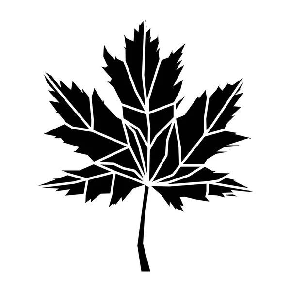 Zwarte Veelhoek Stijl Maple Leaf Vector Gemaakt Met Shapes — Stockvector