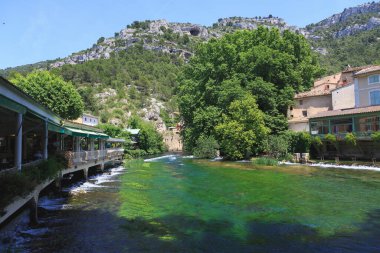 Yazın güzel doğası Provence, Fransa.