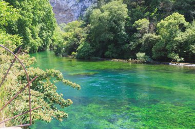 Yazın güzel doğası Provence, Fransa.