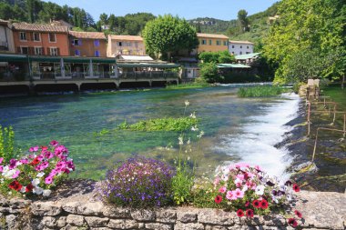 Yazın güzel doğası Provence, Fransa.