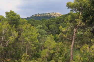 Yazın güzel doğası Provence, Fransa.