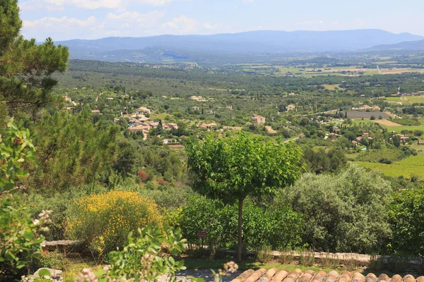 Gyönyörű Természet Nyári Provence Franciaország — Stock Fotó