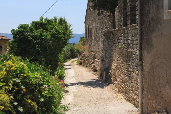 Beautiful nature of summer Provence, France.