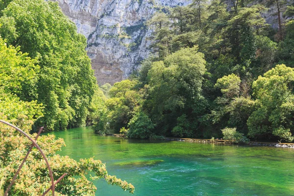 Beautiful Nature Summer Provence France — Stock Photo, Image