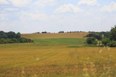 Avrupa, Provence, Fransa, yaz