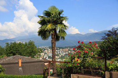 Avrupa, İsviçre, Lugano, yaz