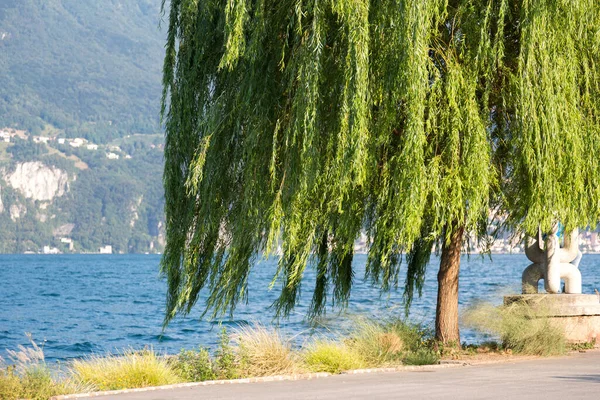 Vacker Sommardag Lugano Schweiz — Stockfoto