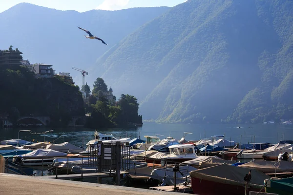 Vacker Sommardag Lugano Schweiz — Stockfoto