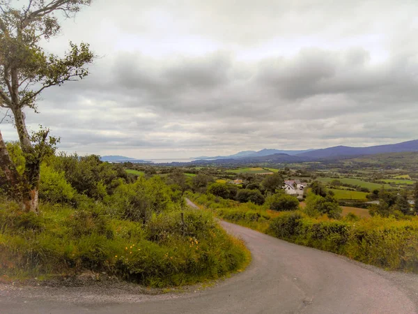 Kırsal Viraj Yolu Bantry Cork Rlanda — Stok fotoğraf