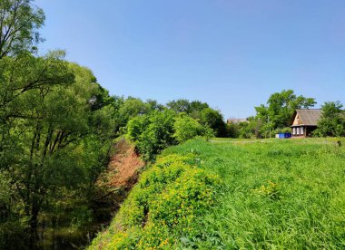 Güneşli bir günde mavi gökyüzünün arka planında ağaçlar olan yeşil bir çayırdaki kır evi.