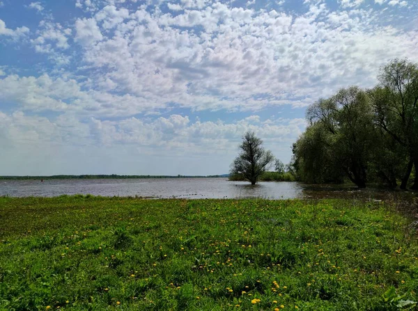 Nehir Kıyısında Yeşil Çimenli Çayır Güzel Bulutlu Mavi Gökyüzüne Karşı — Stok fotoğraf
