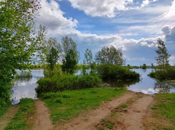 Väg Gaffel Översvämmad Flodstrand Mot Bakgrund Träd Och Vacker Blå — Stockfoto