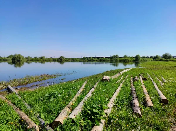 Troncos Encuentran Hierba Verde Cerca Ribera Inundada Fondo Del Ferrocarril — Foto de Stock