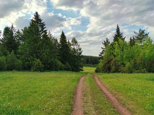 Route Campagne Travers Sommet Montagne Entre Les Arbres Verts Sur — Photo