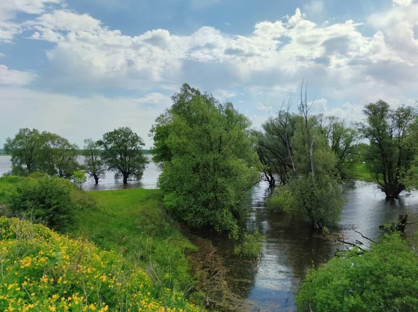 Ποταμός Πλημμύρισε Την Πράσινη Ακτή Και Δέντρα Ενάντια Στον Συννεφιασμένο — Φωτογραφία Αρχείου