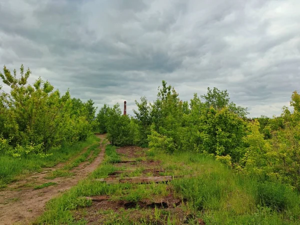 Destruido Desmantelado Ferrocarril Con Los Restos Traviesas Entre Vegetación Arbustos —  Fotos de Stock