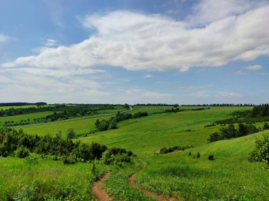 Güneşli bir günde yeşil tarlaların üzerinde bulutlar, çimenler ve ağaçlarla dolu güzel mavi gökyüzü.