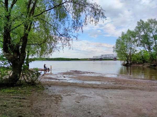 Niños Juegan Orilla Del Río Entre Los Árboles Cerca Del —  Fotos de Stock