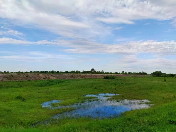 Charco Campo Con Hierba Verde Después Lluvia Con Reflejo Cielo —  Fotos de Stock