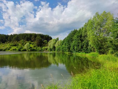 Gölet suyundaki ağaçların güzel yansıması bulutlu mavi gökyüzünün arka planına karşı