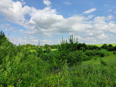 Gökyüzü güzel mavi bulutlarla yeşil bir tarlanın üzerinde çimen ve ağaçlarla harika bir manzarada