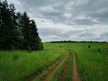 Gri bulutlu gökyüzü bir orman ve yeşil bir tarla arasındaki dolambaçlı bir yol üzerinde