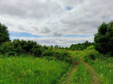 Yeşil çimenlerin, çalıların ve ağaçların arasındaki yol mavi bulutlu gökyüzüne karşı