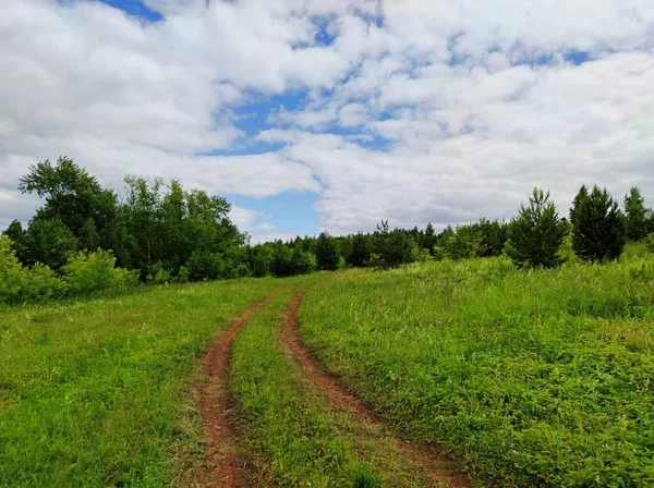 Kırsal Yol Yeşil Çimlerin Arasında Ormanın Yakınındaki Bir Tarlada Bulutlu — Stok fotoğraf