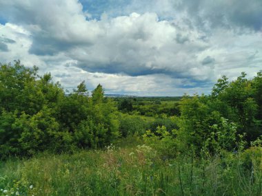 Yeşil çimenler ve ağaçlar güzel bulutlu gökyüzüne karşı yağmurdan önce