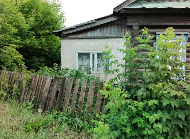 Çalıların ve ağaçların arasında eski bir kır evi.