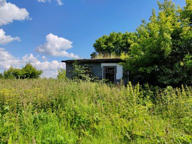 Çimenlerin, çalıların ve ağaçların arasındaki terk edilmiş ahşap ev güneşli bir günde bulutlu mavi gökyüzüne karşı.