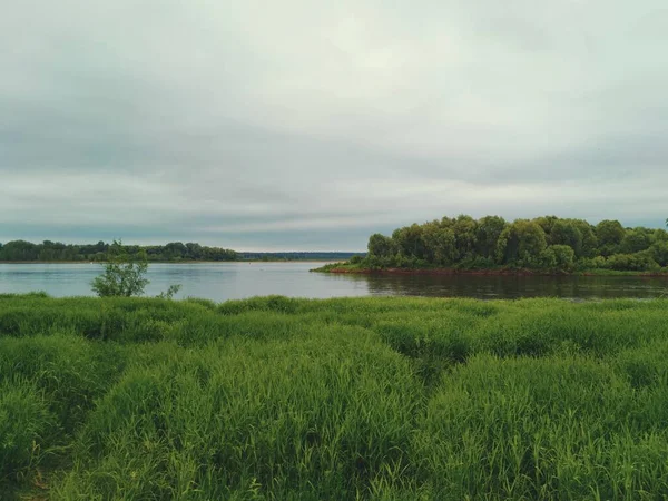 Cielo Noche Sobre Una Orilla Del Río Con Hierba Verde —  Fotos de Stock