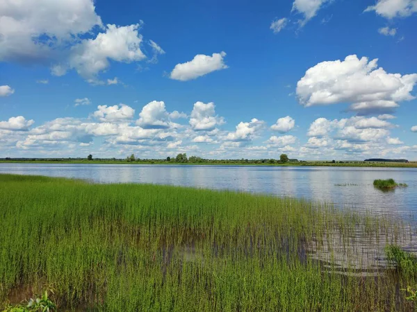 Красивая Зеленая Трава Берега Реки Фоне Голубого Облачного Неба — стоковое фото