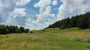 Ormanın yanındaki yeşil açıklık Mavi bulutlu gökyüzüne karşı