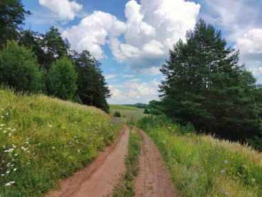 Yeşil orman yamacında bulutlu mavi gökyüzü iki güneşli gün.