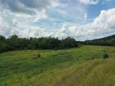 Yağmur öncesi mavi bulutlu gökyüzü yeşil tarlalar ve ormanlar üzerinde