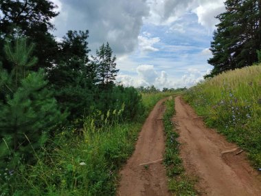Ağaçlar arasında yokuş yukarı, mavi gökyüzünün arka planında, bulutlu.