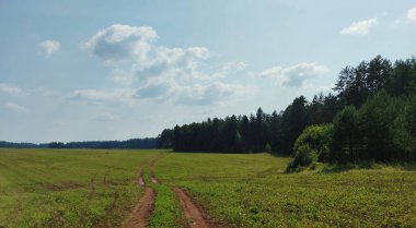 Ormanın yakınındaki bir tarlada, bulutlu mavi gökyüzüne karşı virajlı bir yol.