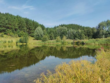 Güneşli bir günde, bir gölün yüzeyindeki yeşil ağaçların yansıması.
